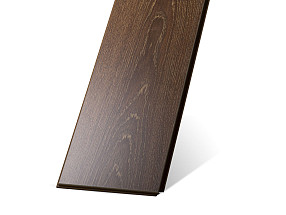 Дуб Болонья