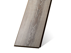 Сосна Лагерта светлая