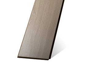 Дуб Горный Светлый