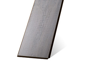 Дуб Балатон