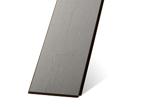 Дуб Малевич