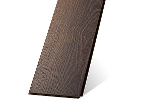 Дуб Тринидад