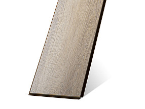 Дуб Фрейзер