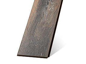 Каштан Южный