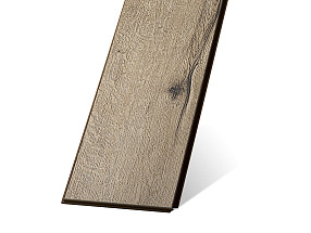 Дуб Монастырский